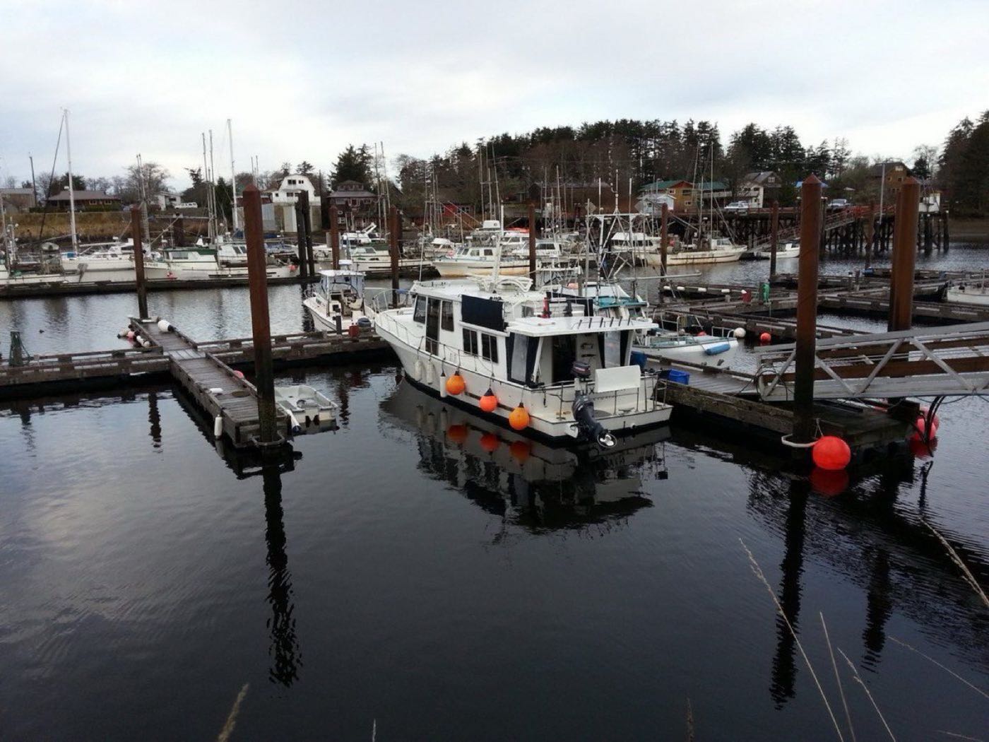 Working boats tied up at a dock on a still north-coast morning, spruce forest behind